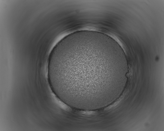 X0000094821131200711241502