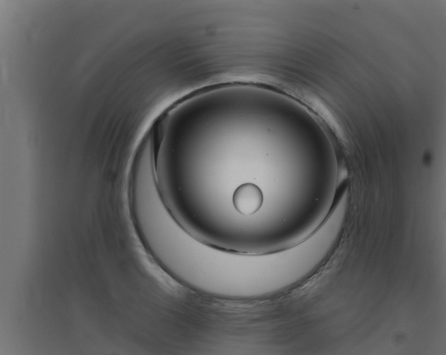 X0000094821132200711241502