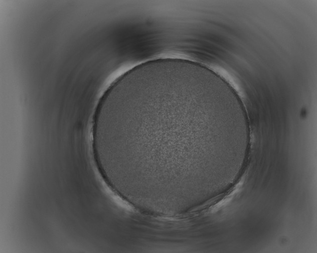 X0000094821133200711241502