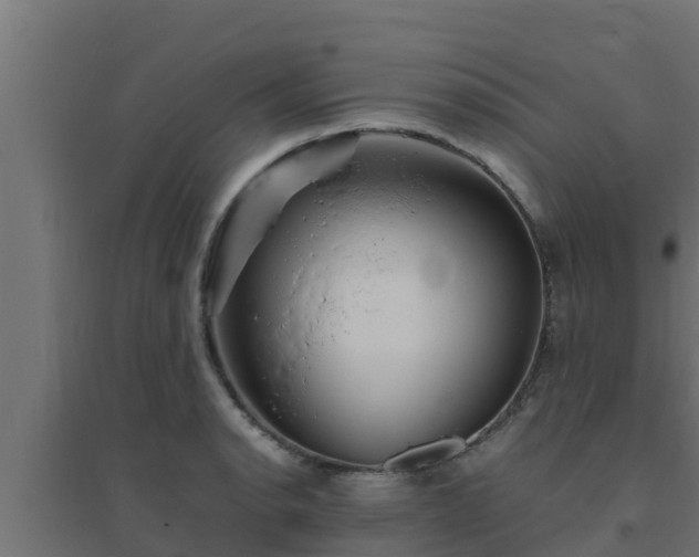X0000094821134200711241502