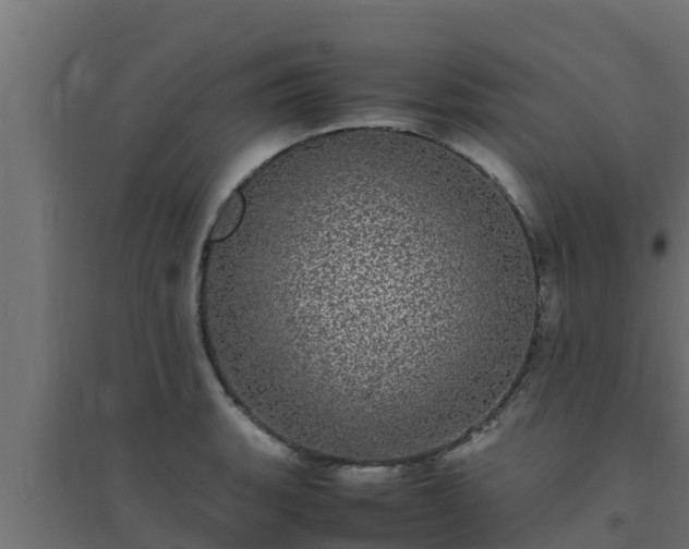 X0000094821135200711241502