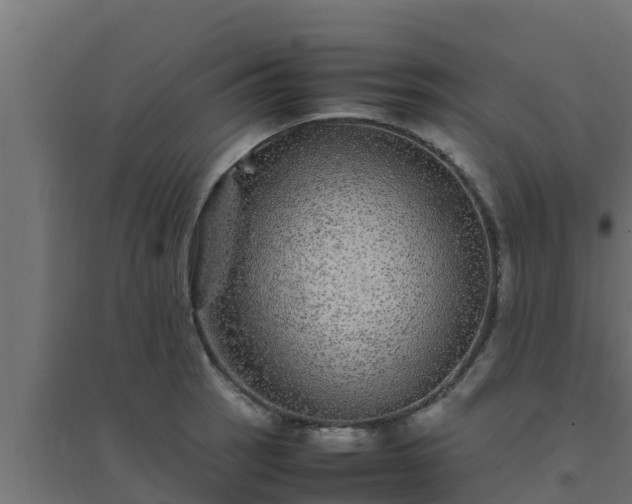 X0000094821137200711241502