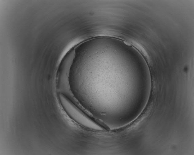 X0000094821138200711241502