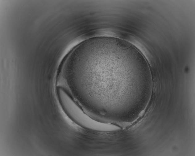 X0000094821139200711241502