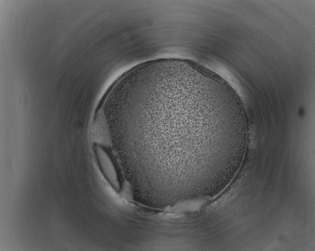 X0000094821140200711241502