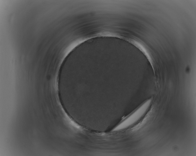 X0000094821141200711241502