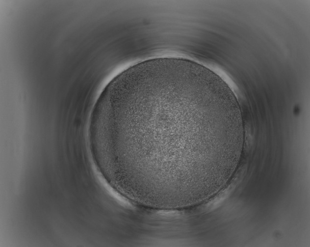 X0000094821142200711241502