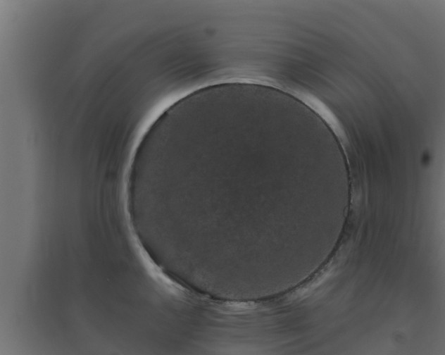 X0000094821144200711241502