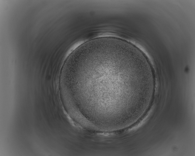 X0000094821145200711241502