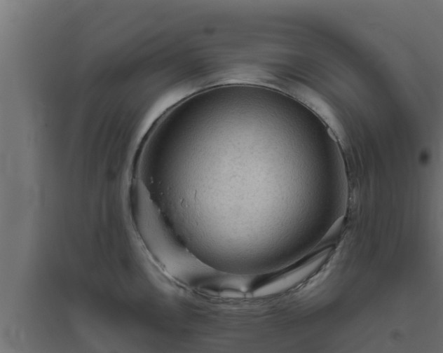 X0000094821146200711241502