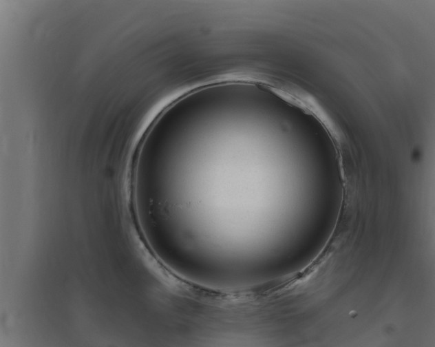 X0000094821148200711241502