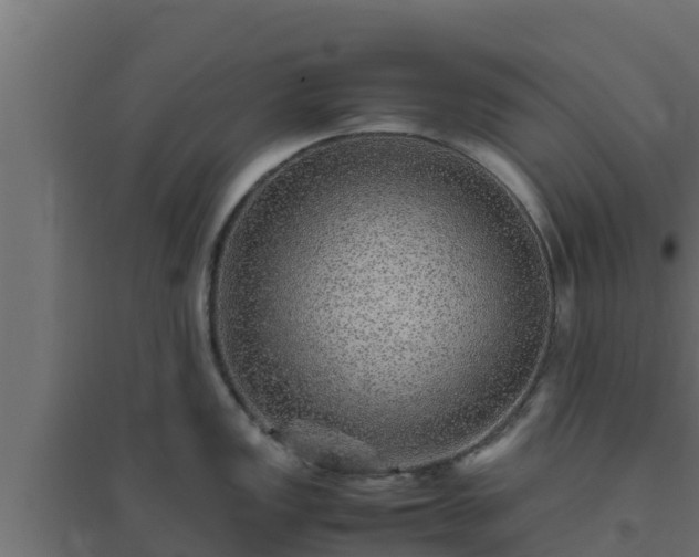 X0000094821149200711241502