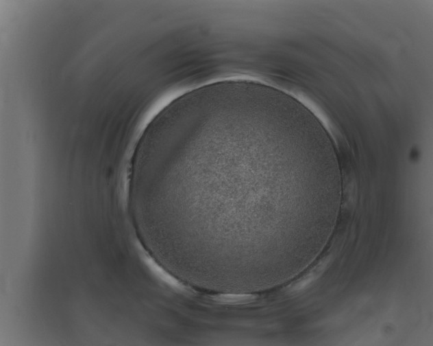 X0000094821151200711241502