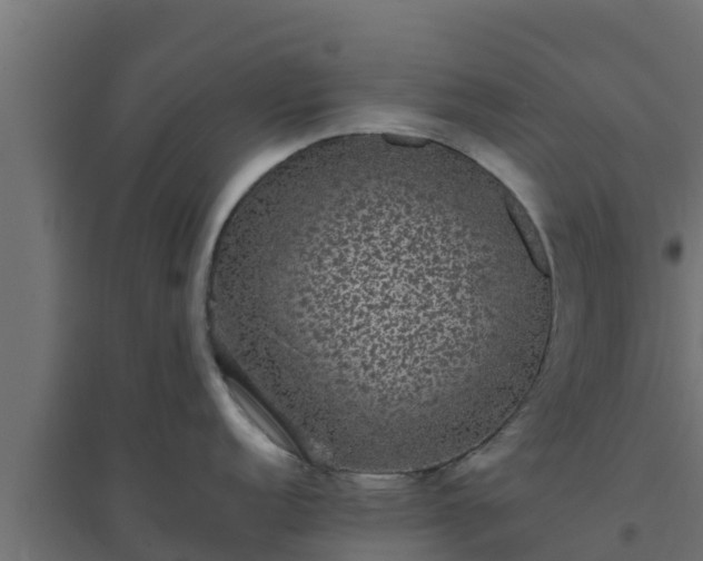 X0000094821152200711241502