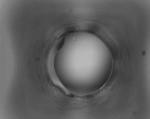 X0000094821153200711241501