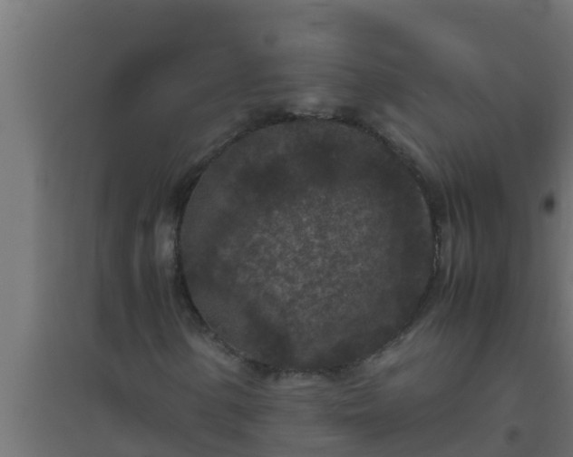 X0000094821154200711241501