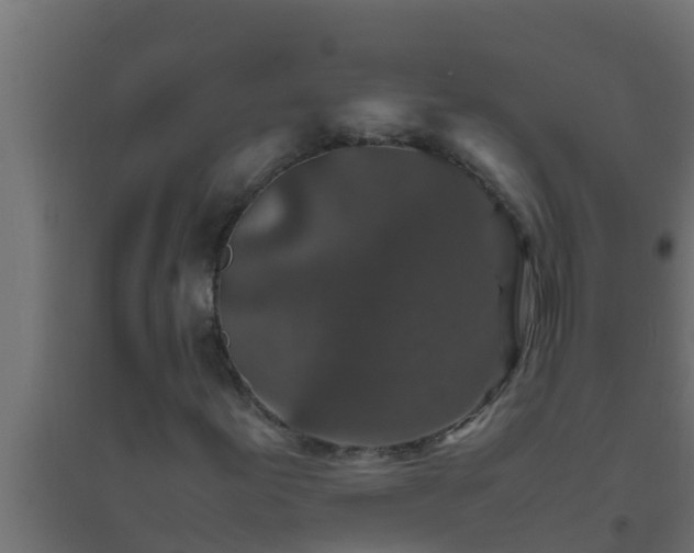 X0000094821155200711241501