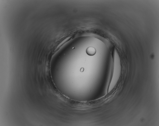 X0000094821156200711241501