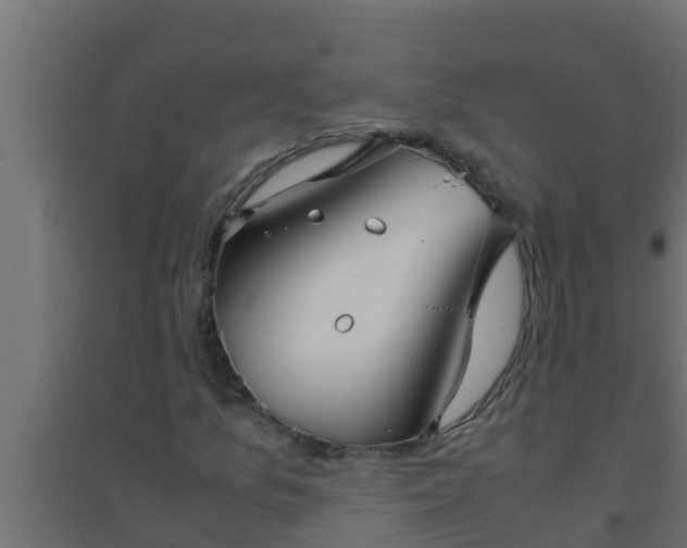 X0000094821157200711241501