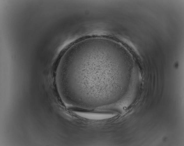 X0000094821160200711241501
