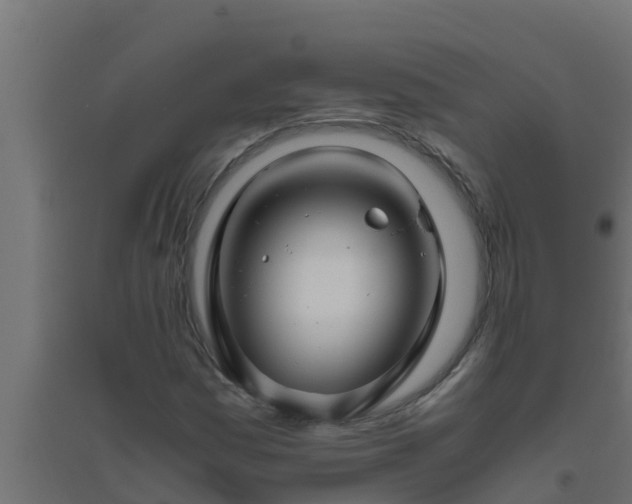 X0000094821161200711241501