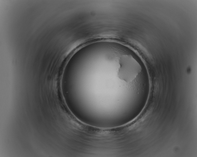 X0000094821162200711241501