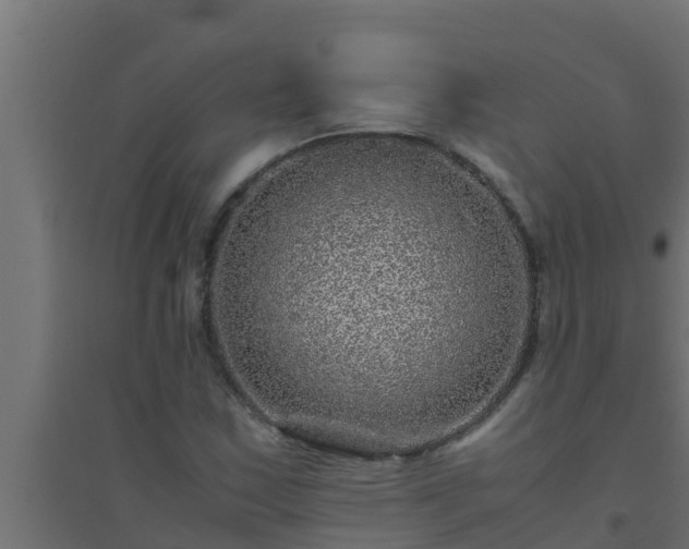 X0000094821163200711241501