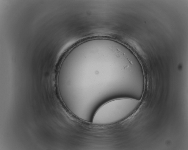 X0000094821164200711241501