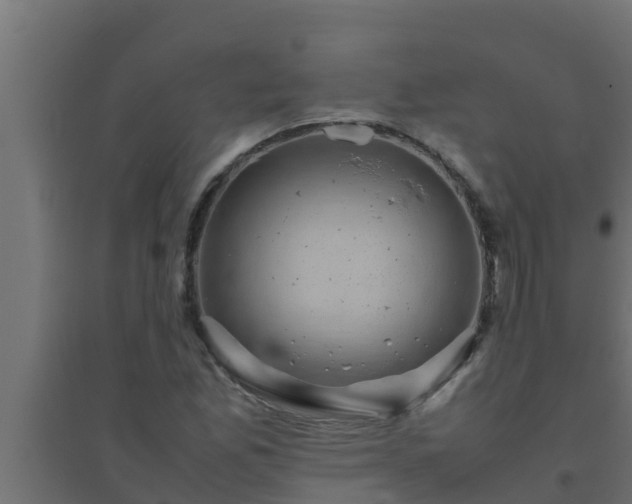 X0000094821165200711241501