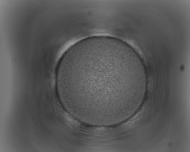 X0000094821167200711241501