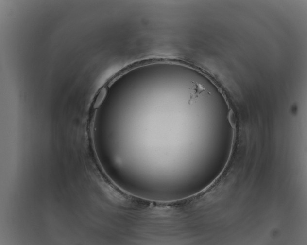 X0000094821168200711241501