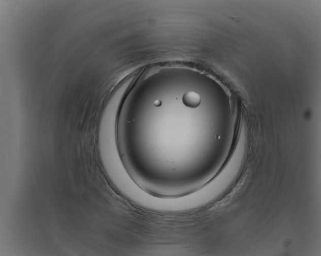 X0000094821169200711241501