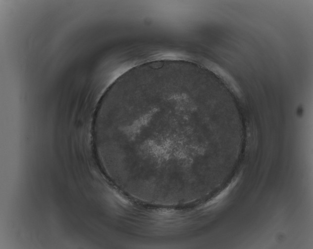 X0000094821170200711241501