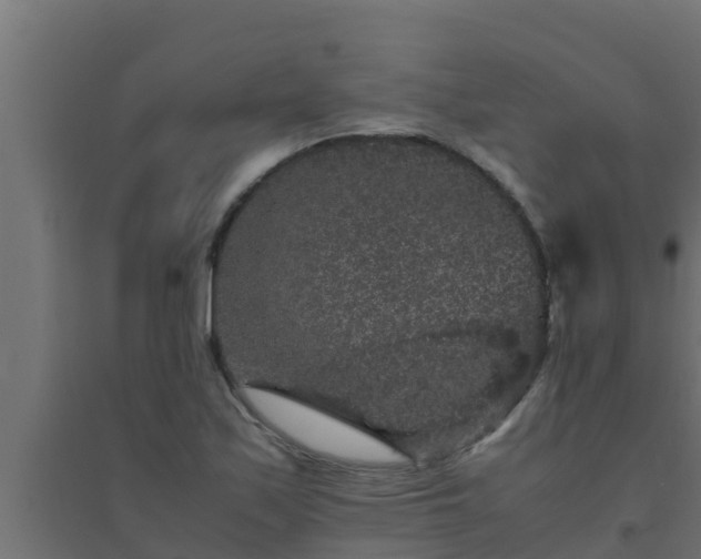X0000094821171200711241501