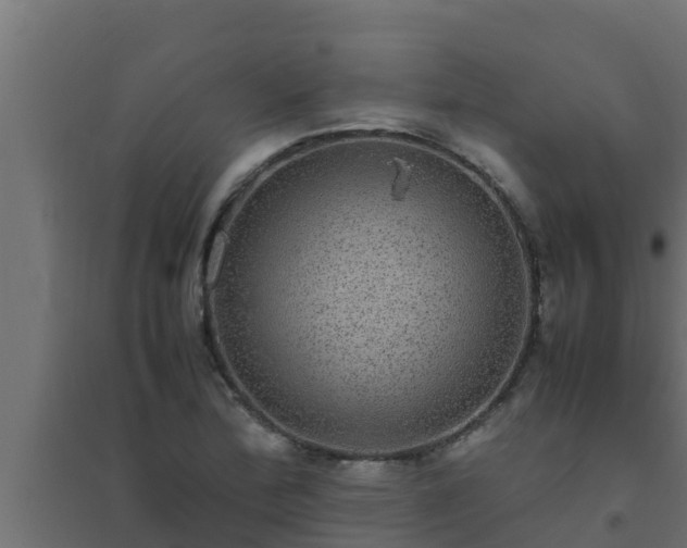 X0000094821172200711241501