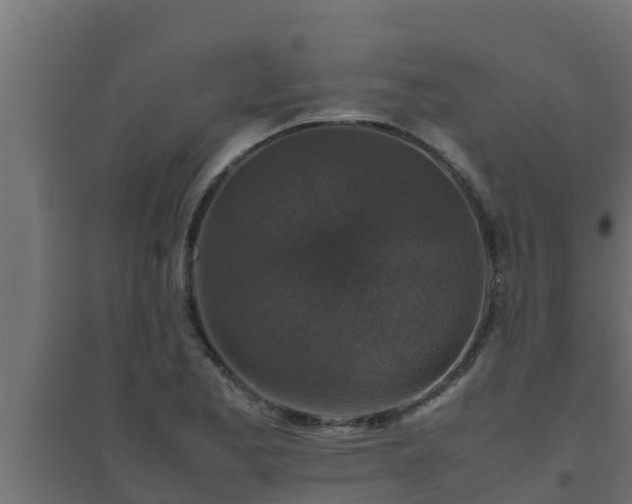X0000094821173200711241501