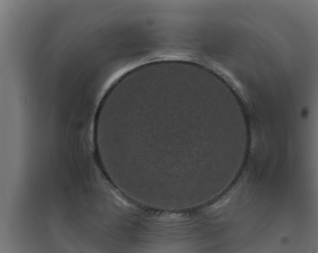 X0000094821174200711241501