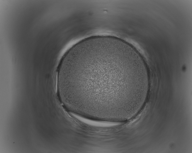 X0000094821175200711241501