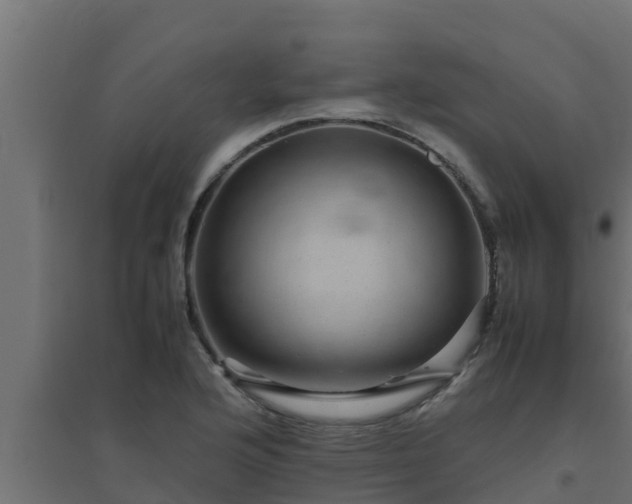 X0000094821176200711241501