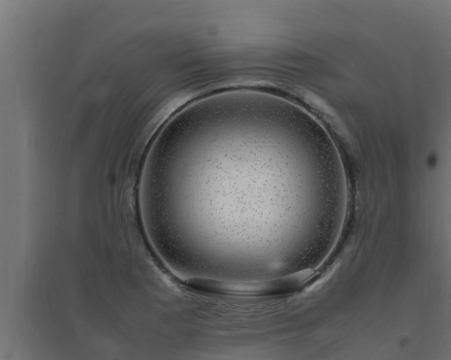 X0000094821177200711241501