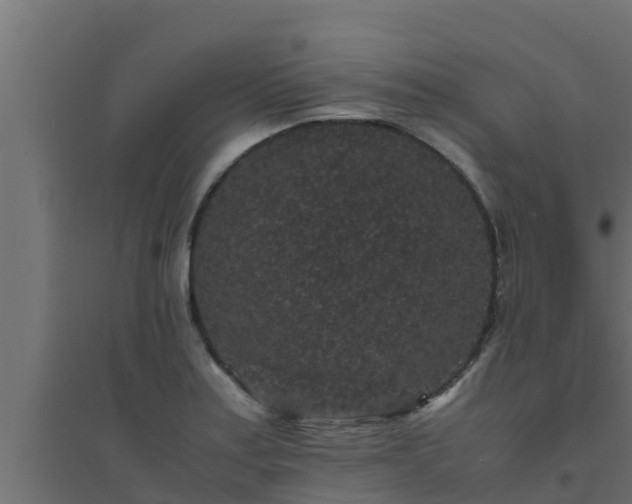 X0000094821179200711241501