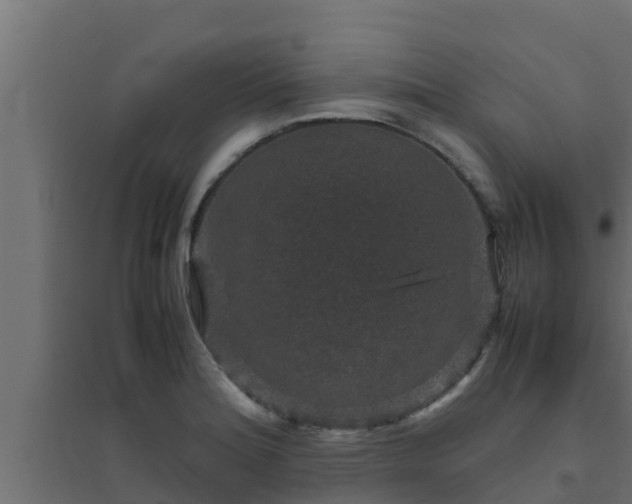 X0000094821180200711241501