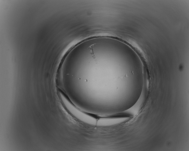 X0000094821181200711241501