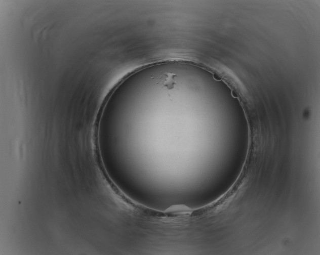 X0000094821182200711241501