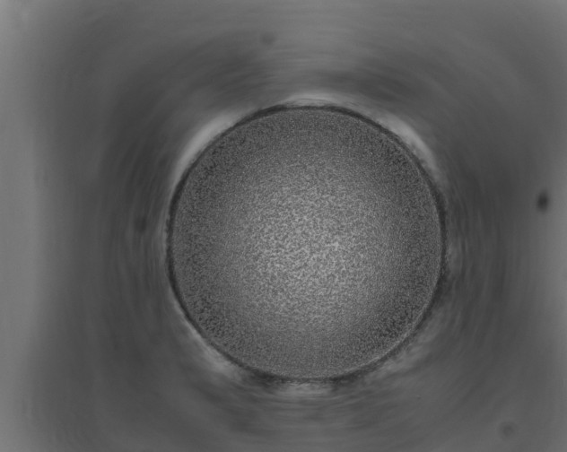 X0000094821183200711241501