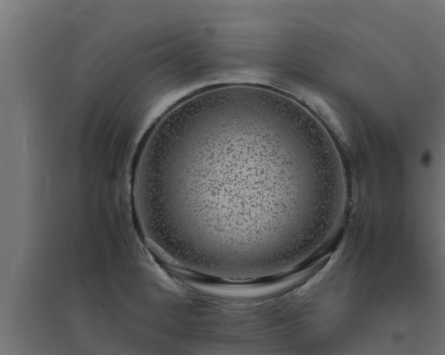 X0000094821184200711241501