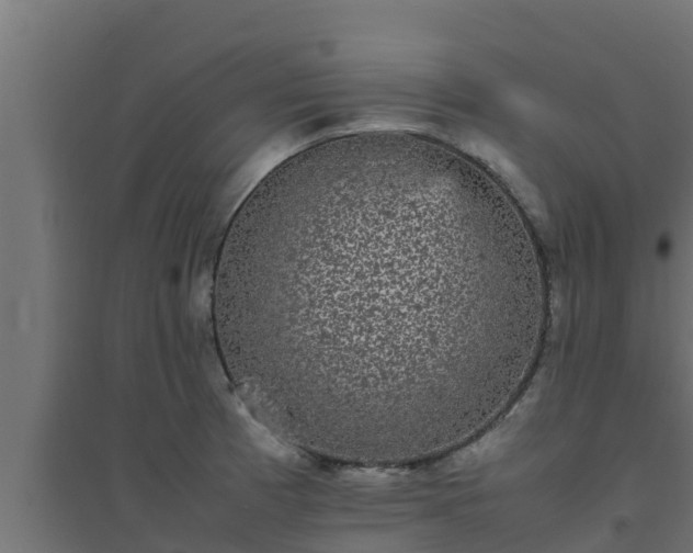 X0000094821185200711241501