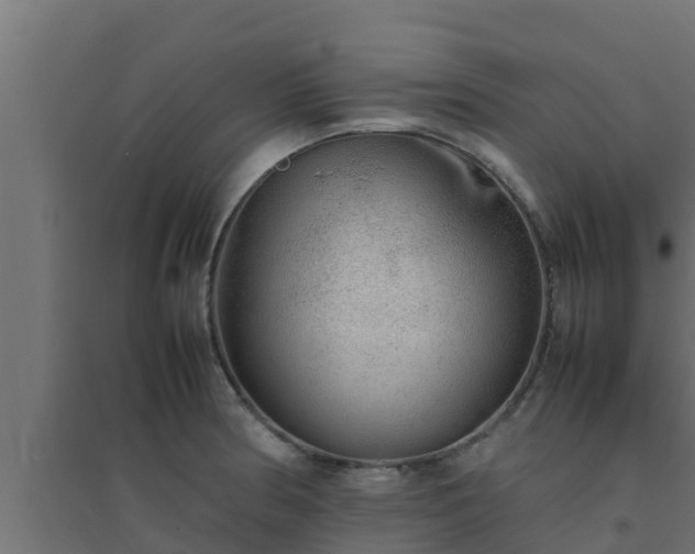 X0000094821186200711241501