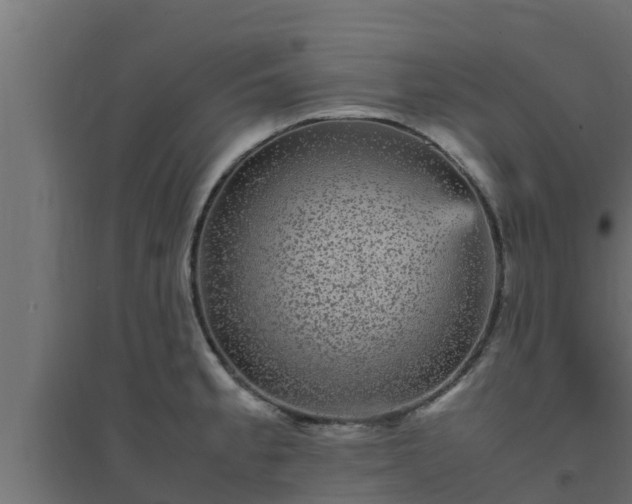 X0000094821189200711241501