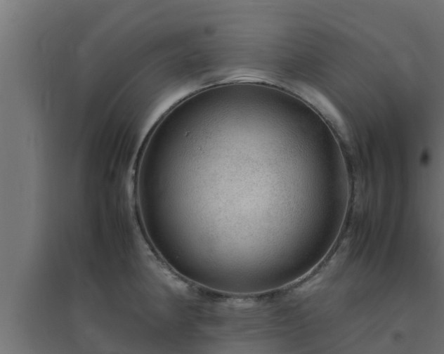 X0000094821190200711241501